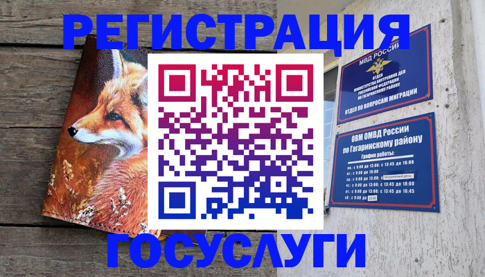 где прописаться в Дятьково